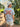 Floridian Roots – State Pride Collection